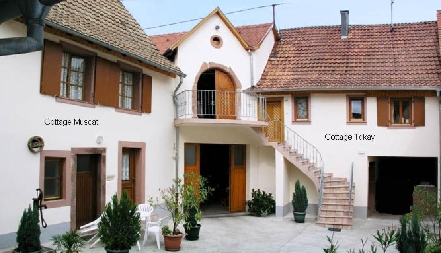 Gites Le Tokay Et Le Muscat Gertwiller Δωμάτιο φωτογραφία